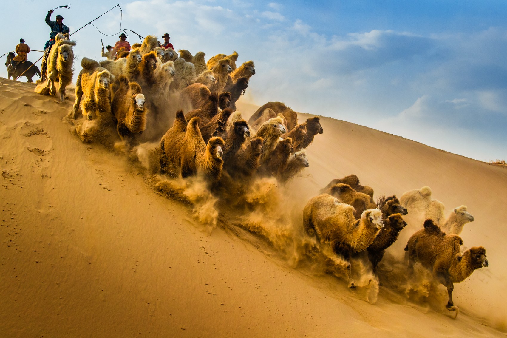 鲁常在摄-《大众摄影》俱乐部团体会员——内蒙古论坛俱乐部(1星)