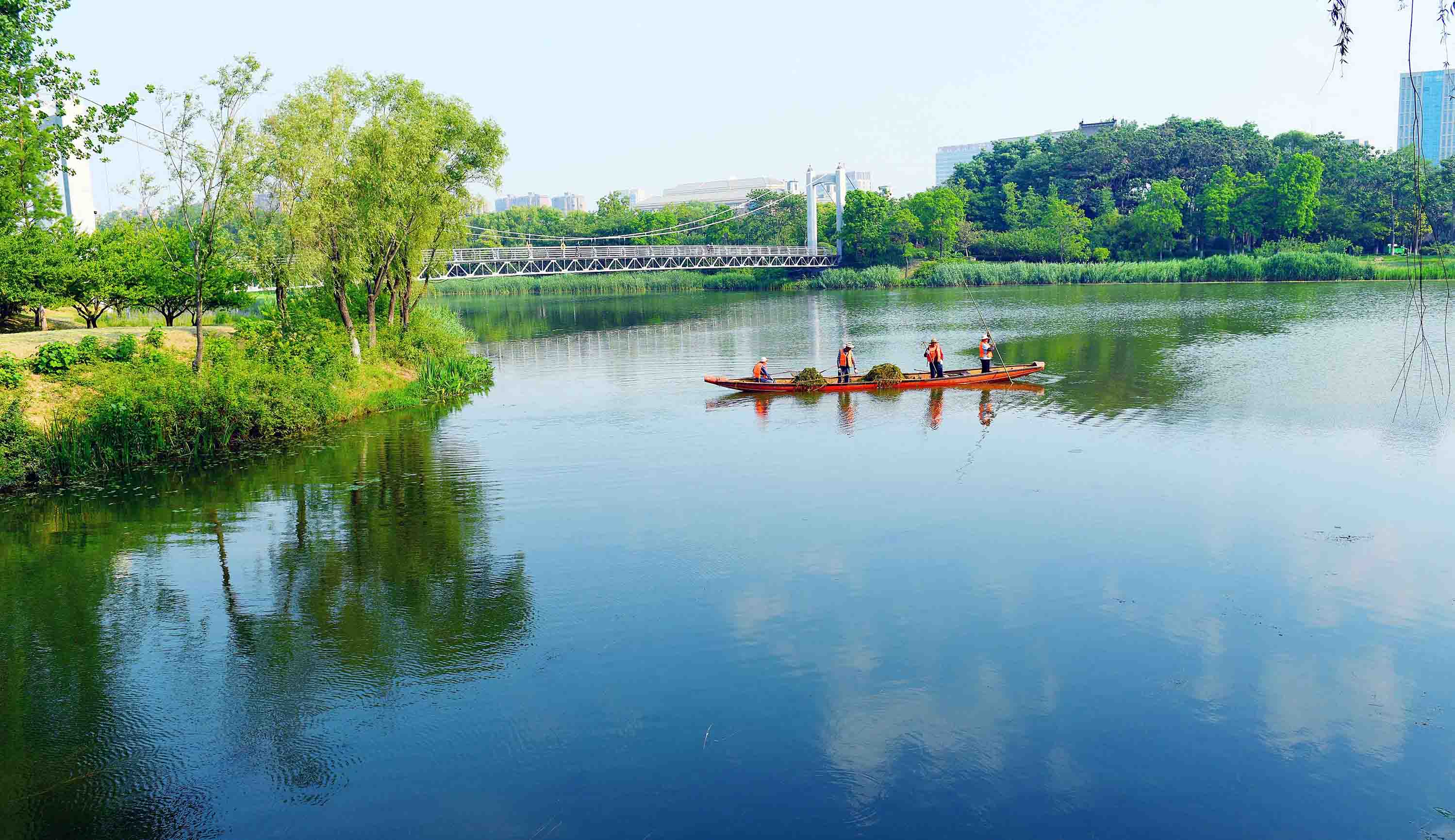 xjh800518    发消息 发表于 5 小时前| 宿迁古黄河,生态水景,风景