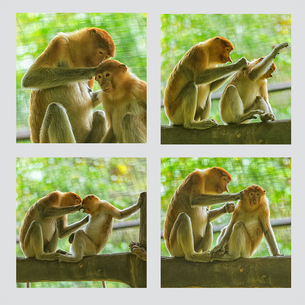 别动!妈妈给你找虫虫!