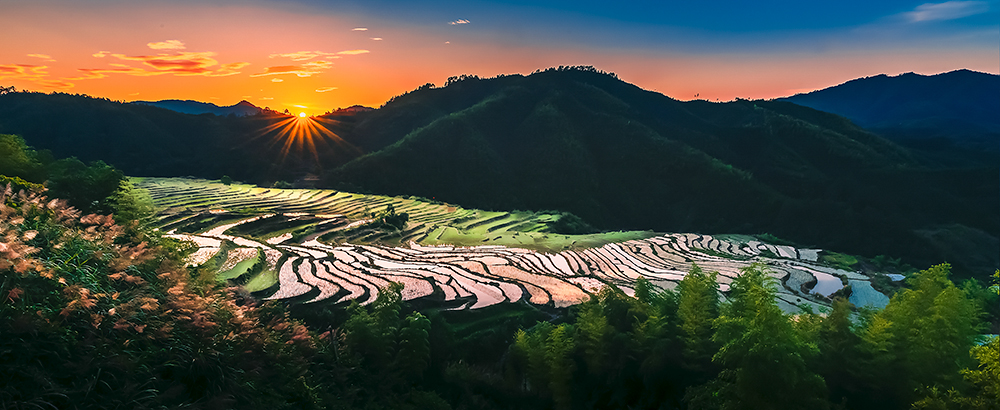 6.12摄于浙江省龙泉市 夕阳下的梯田