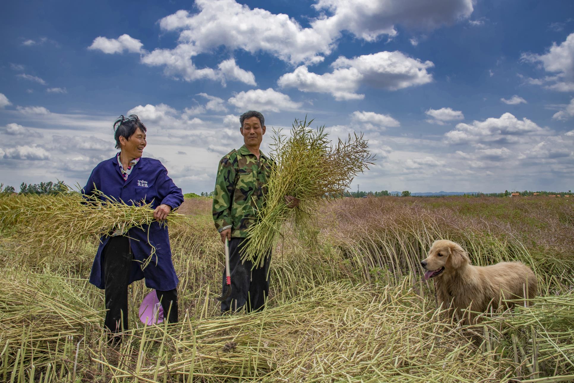 后湖村富业旺(组1-4)