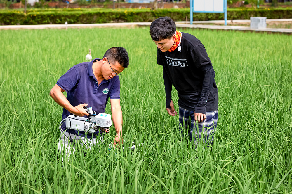 科技助农,年年丰收-中国第三届扶贫公益摄影大展征稿区-大众摄影网