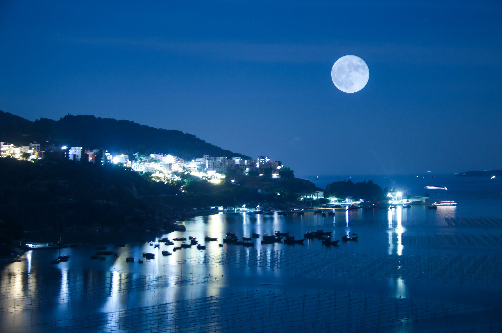 渔港月夜
