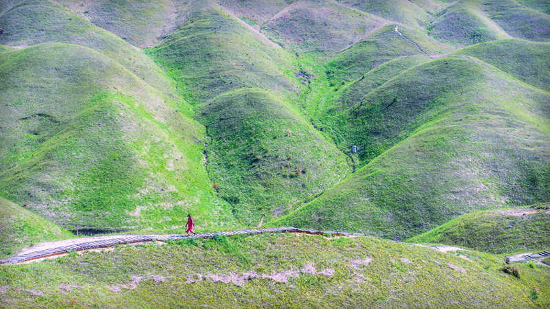 大山里的美丽草场 福鼎鸳鸯头草场 2020.4.27(2).jpg