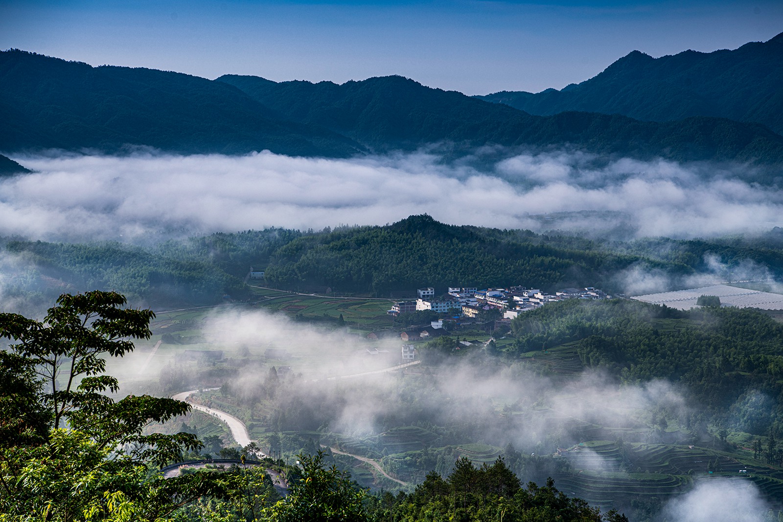 白云生处有人家