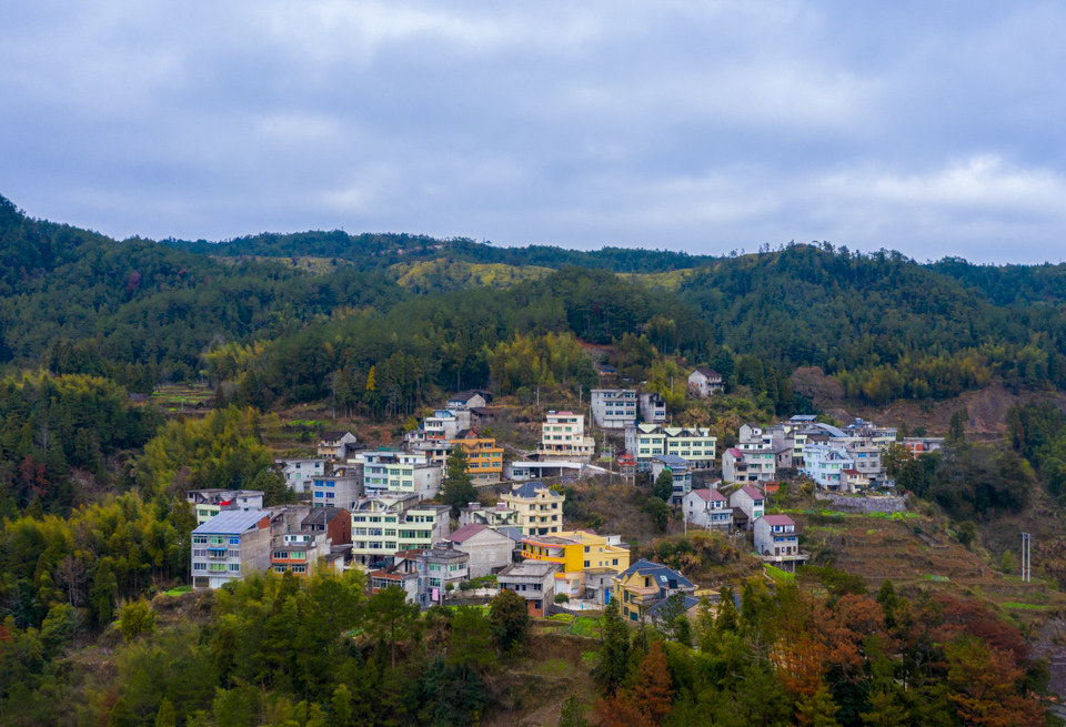 《魅力茶寮村》