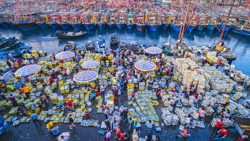 早上渔码头热闹的海鲜交易场景.