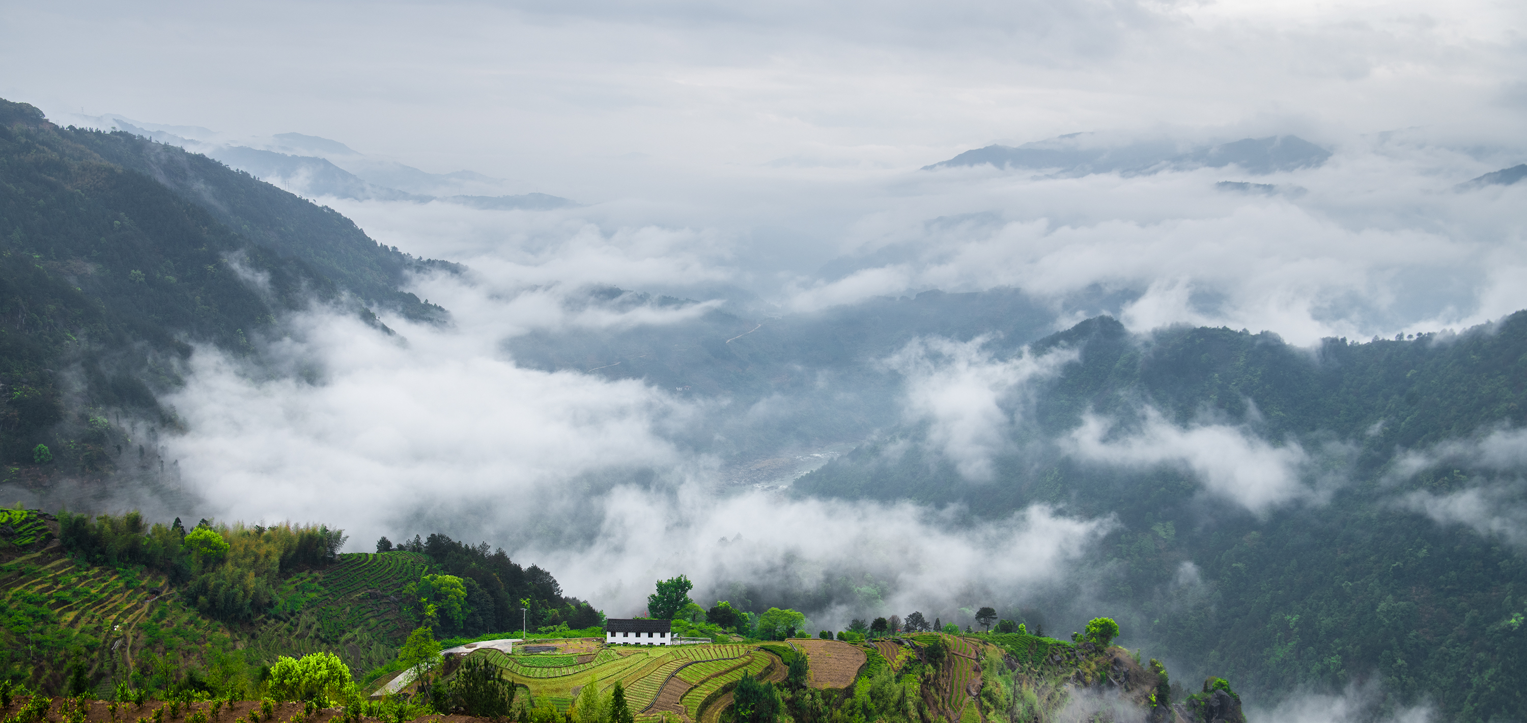《空山新雨后》