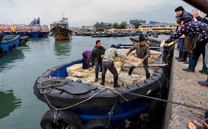 靠岸的渔船,又招来了一大群人的围观,有的已经定下了货物,在忙着卸货