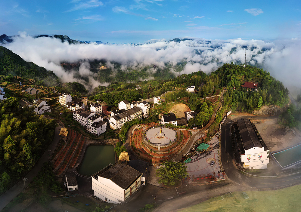 作品标题:美丽乡村;拍摄时间:2020年5月10日;拍摄地点:文成县周垟村