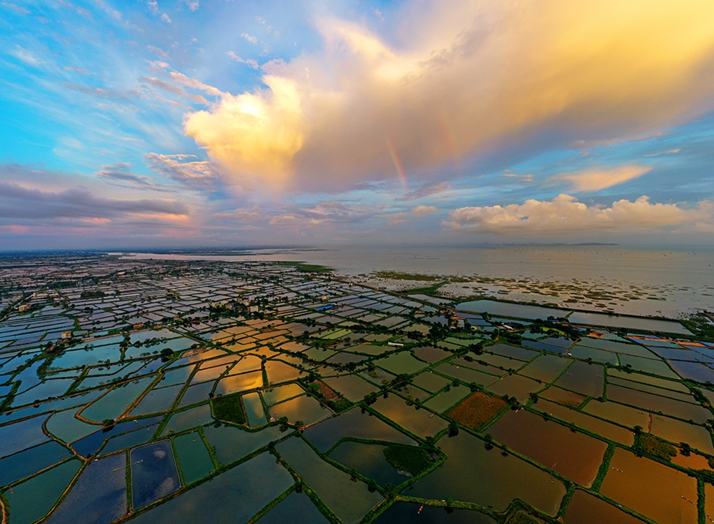 《五彩虾田》2020年10月3日摄于合浦县西场镇.