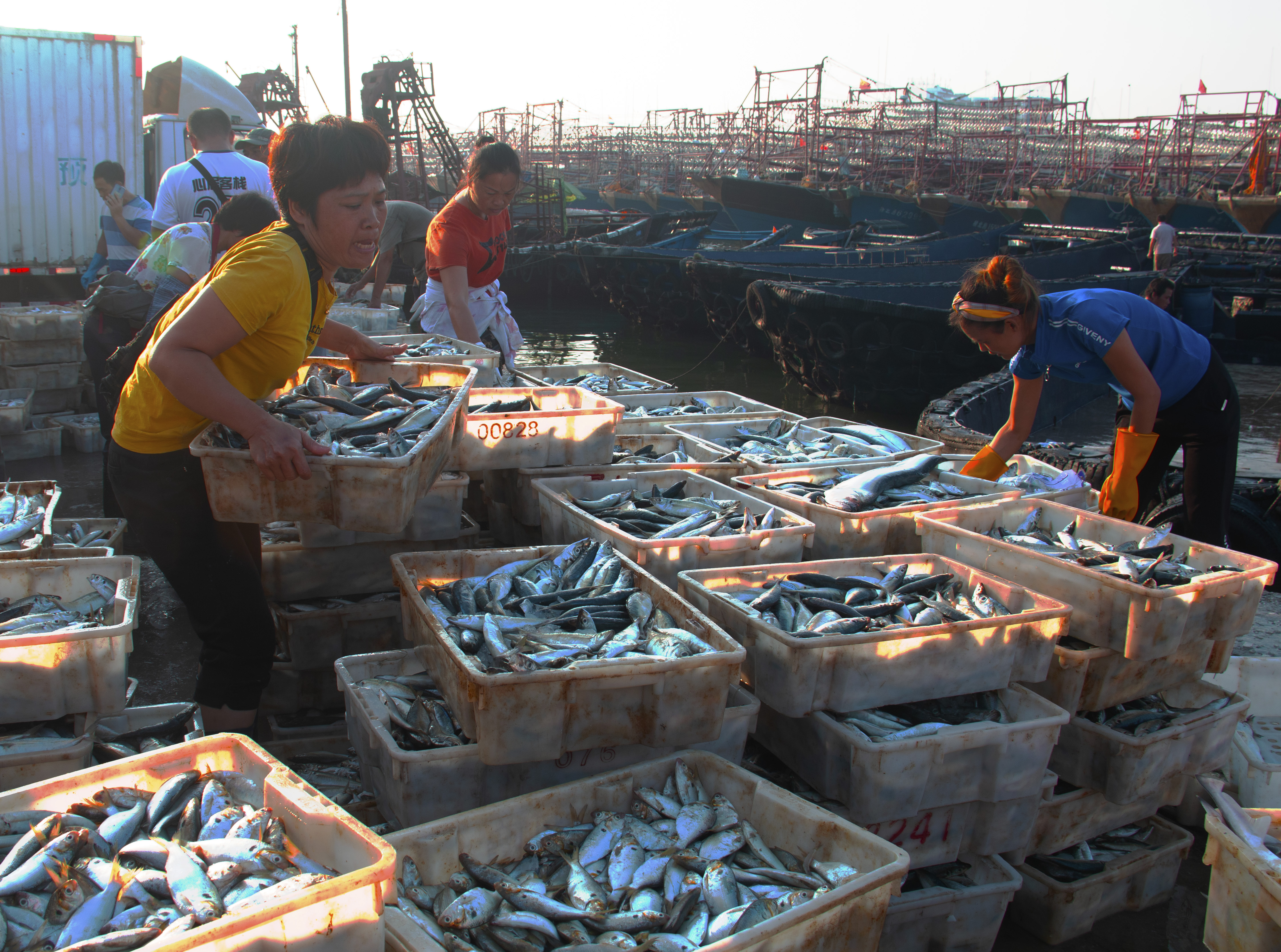 《侨港晨市》2020年10月5日摄于北海侨港码头早上的鱼市.