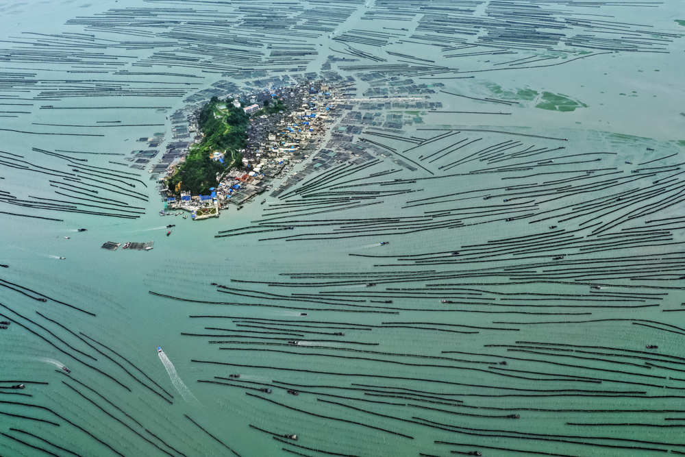 2019年5月摄于霞浦县沙江镇竹江村