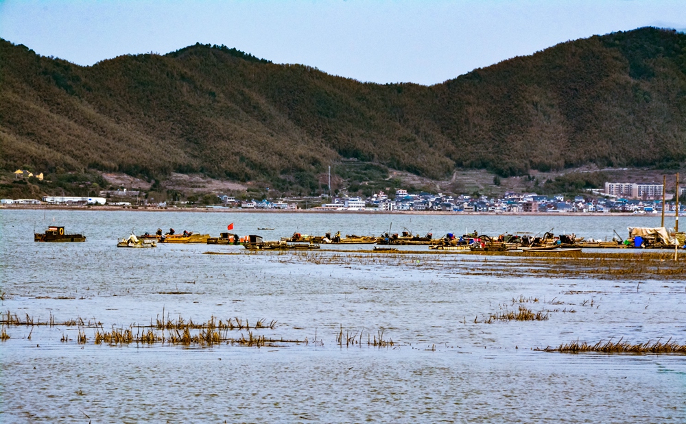 2020.3.23. 象山县墙头镇