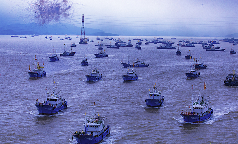   千帆竞发>>,2020年9月17日拍摄于舟山沈家门