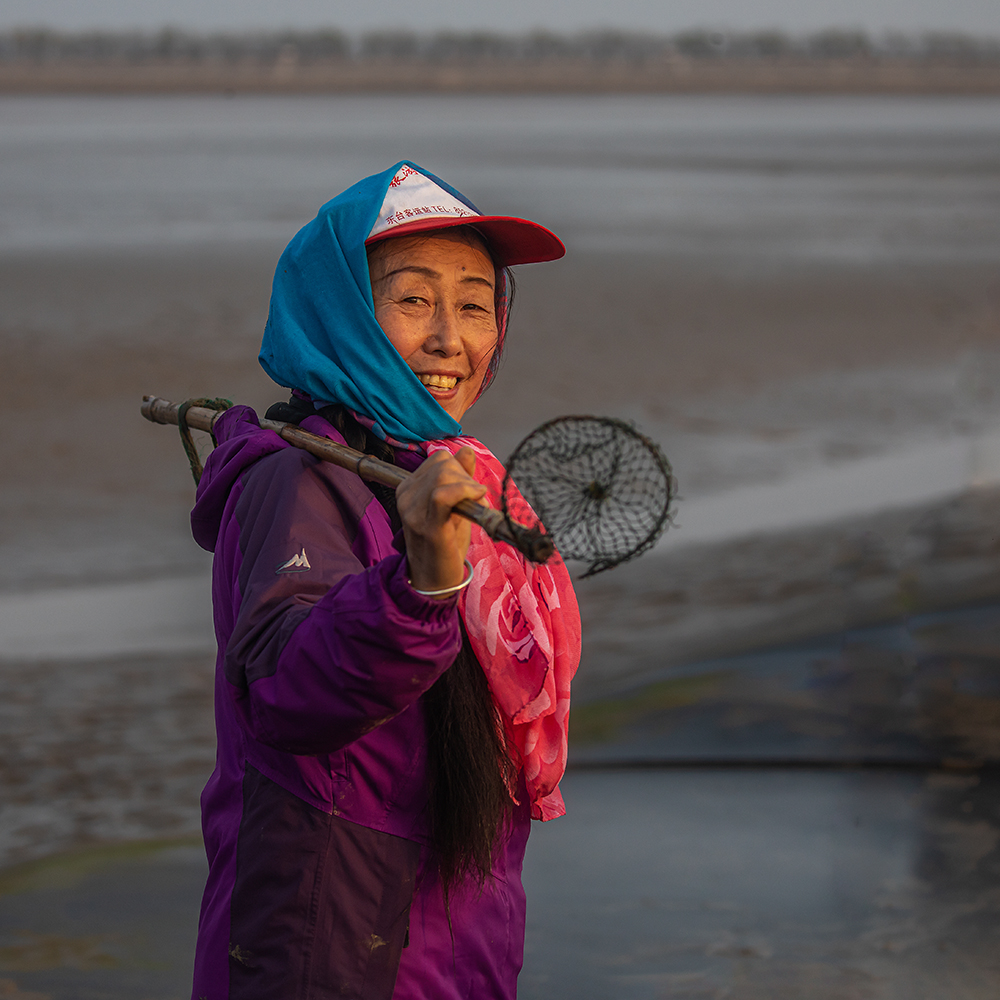 大丰弥巷的条子泥渔家女,乘落潮时背起工具到海边拾海.