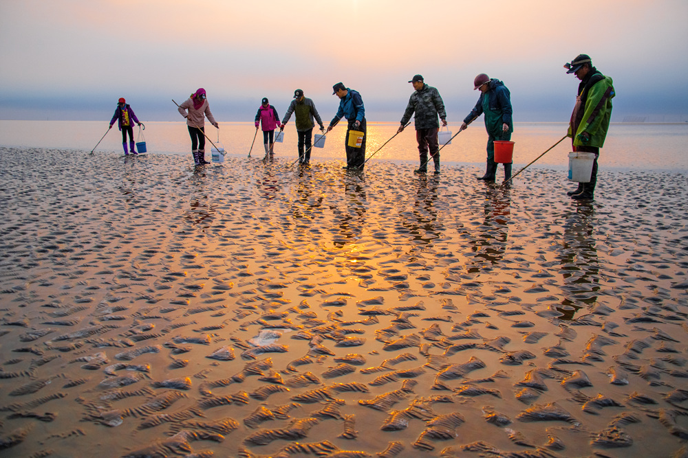 《赶海》-条子泥杯61湿地风光全国摄影大展征稿区-大众摄影网