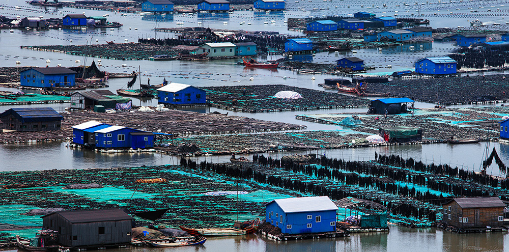 第四届"大美渔村平安渔业"摄影大展投稿照片