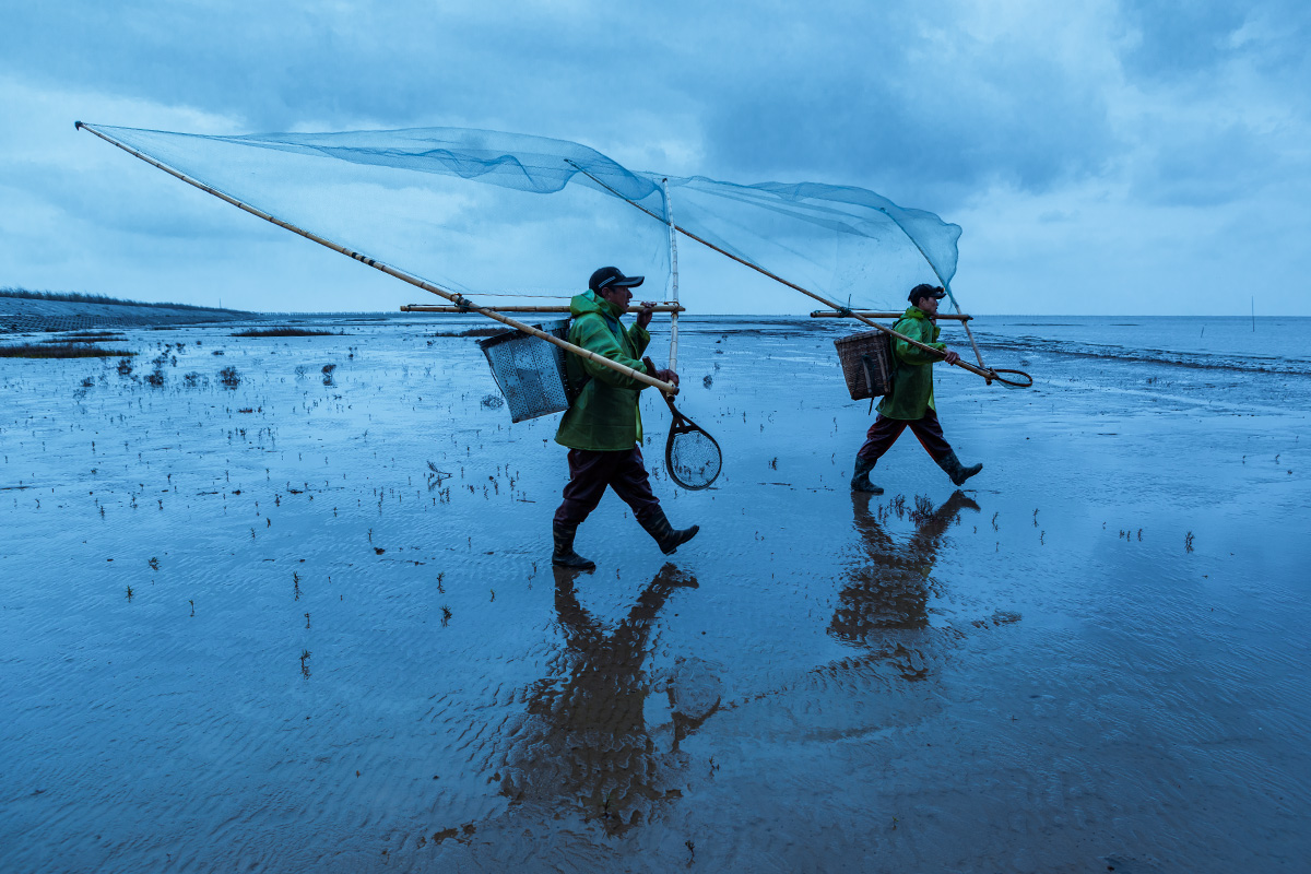 赶海-条子泥杯61湿地风光全国摄影大展征稿区-大众摄影网