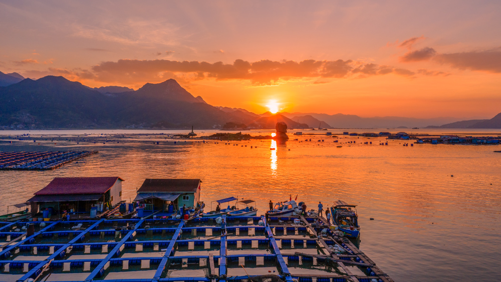 2020年10月拍摄于宁德三都澳