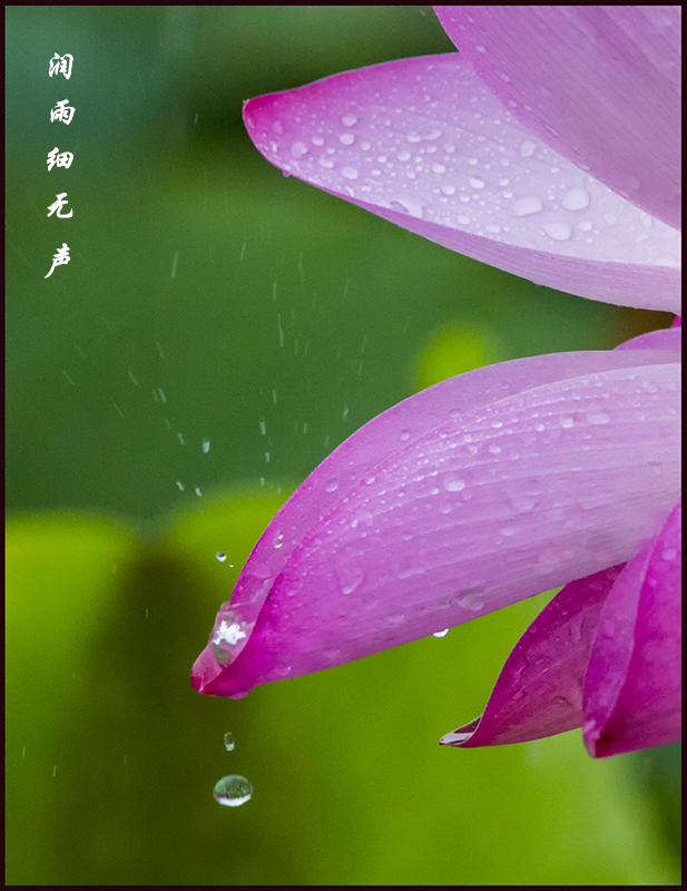 润雨细无声
