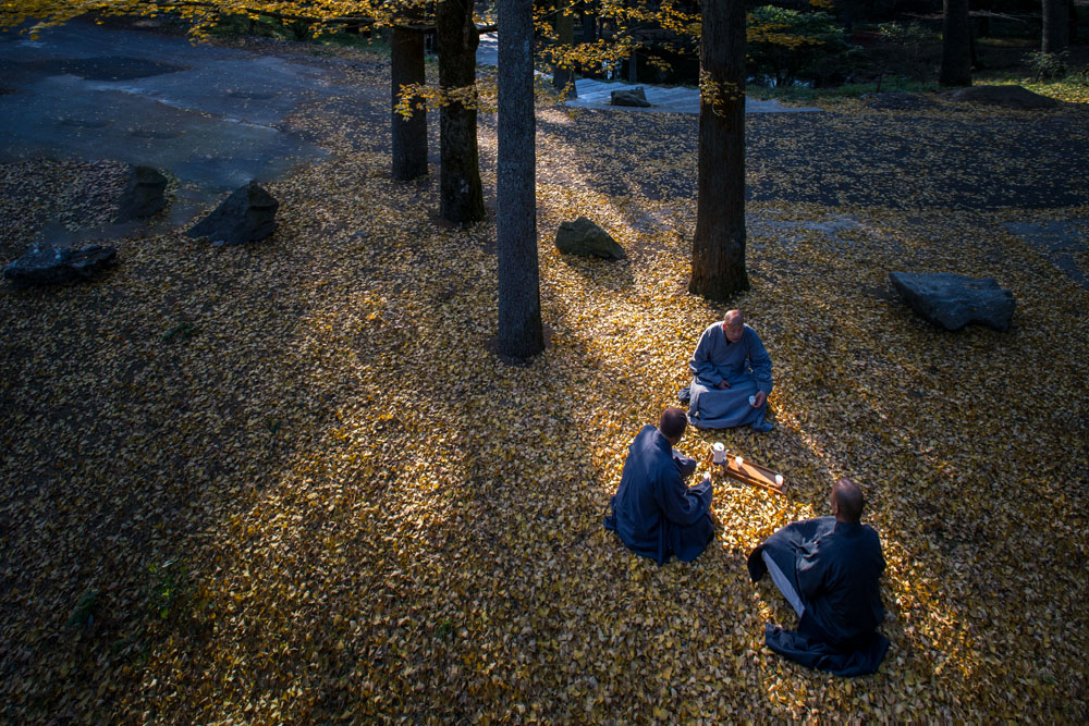 三们僧人在银杏树下席地而坐,谈经论道. .