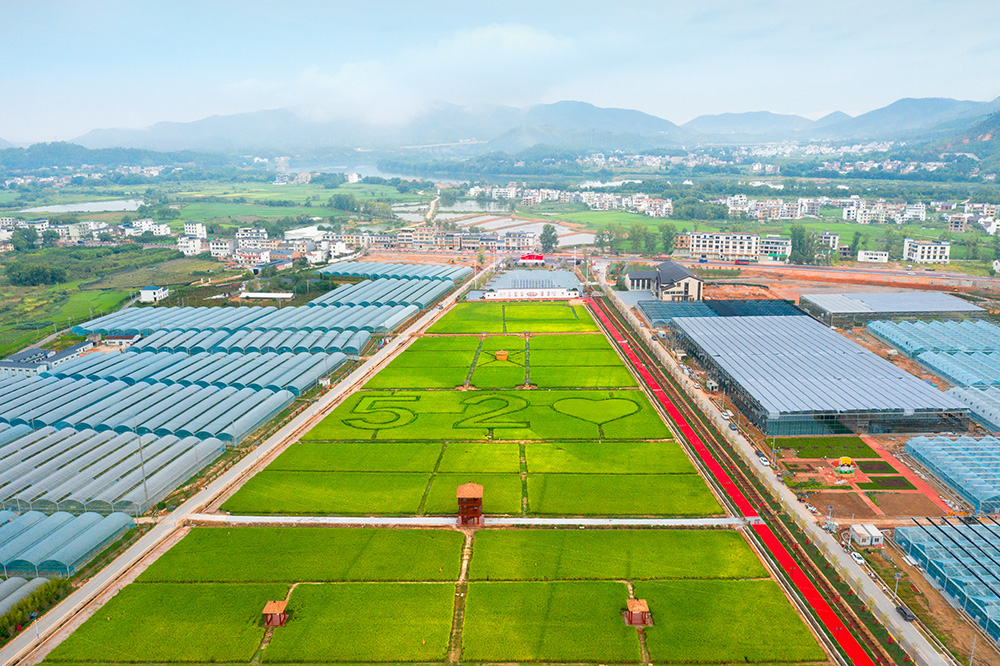 "农业产业化"2020年9月10日拍摄于江西省于都县潭头村