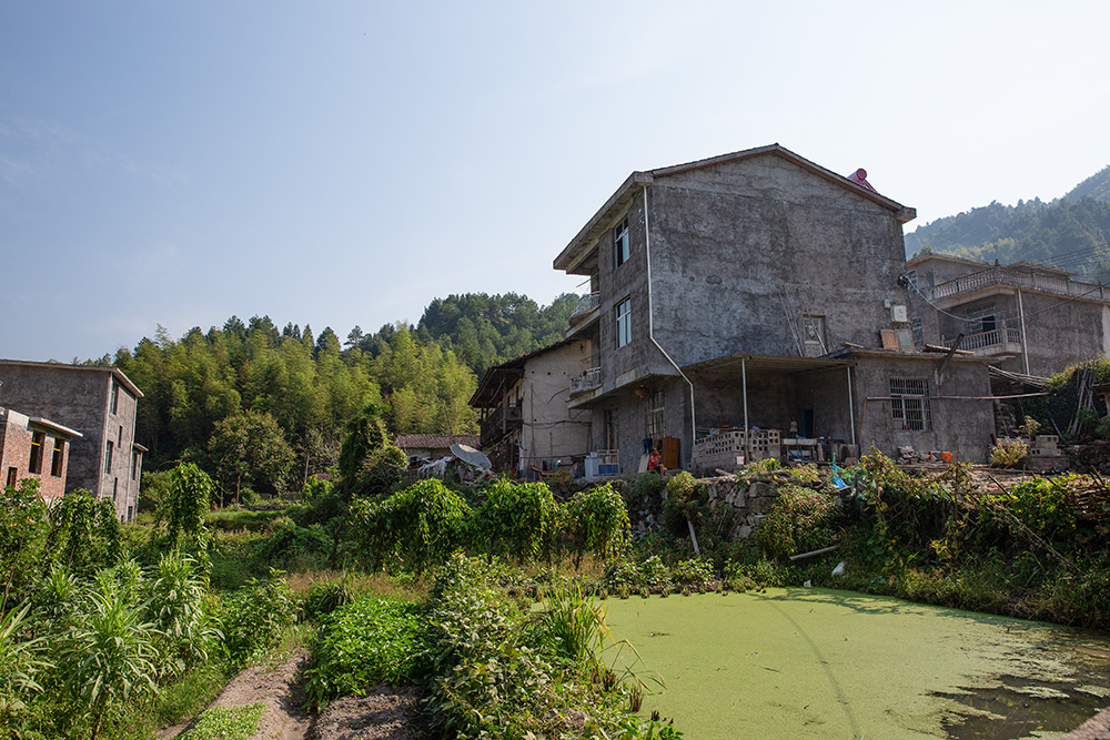 《改造前的旧村一角》2017年9月19日摄于江西省乐安县金竹畲族乡大通