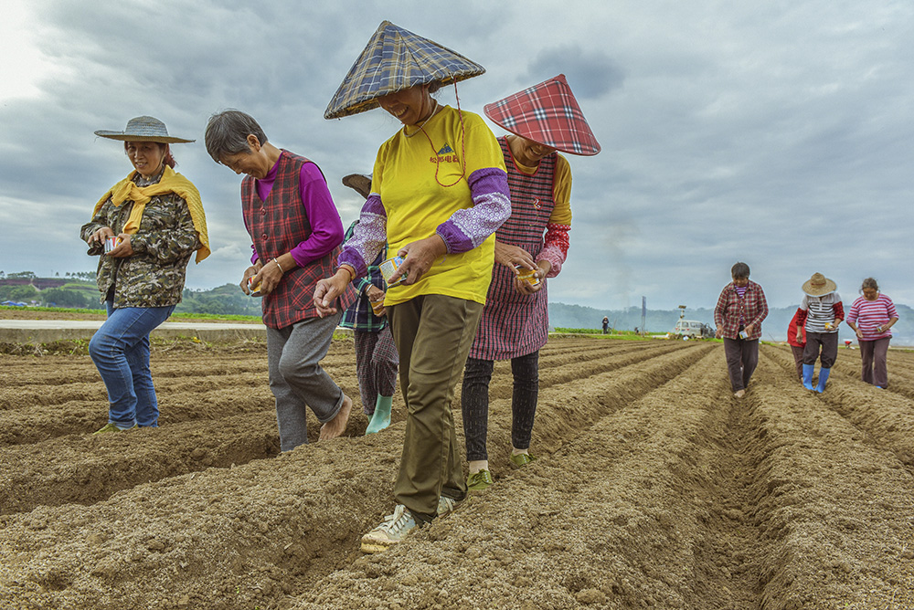 播种希望-中国第三届扶贫公益摄影大展征稿区-大众摄影网 -