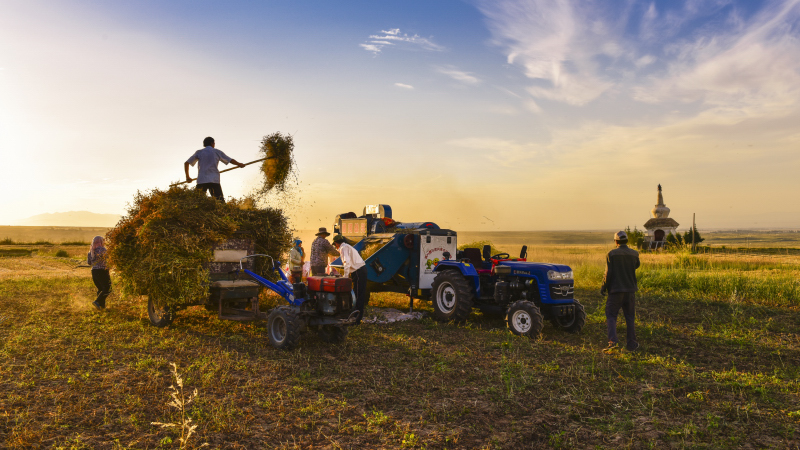 春种一粒粟 秋收万颗子