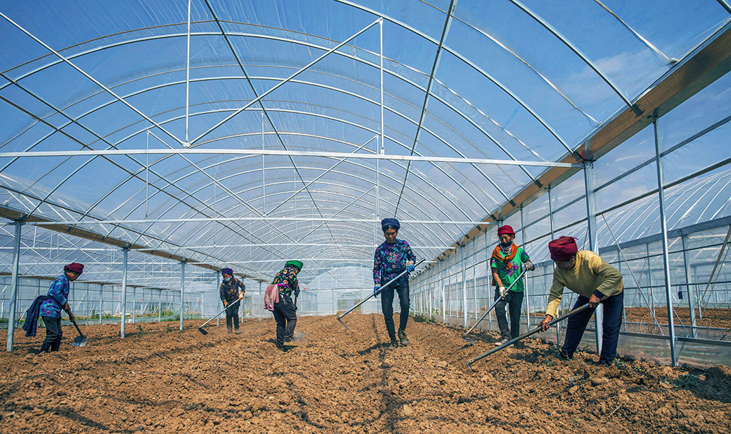 【勤劳才能把富致】2020年5月,凉山彝族自治州昭觉县的妇.