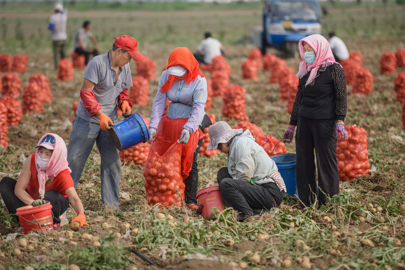金蛋蛋富了农家人-中国第三届扶贫公益摄影大展征稿区-大众摄影网 -