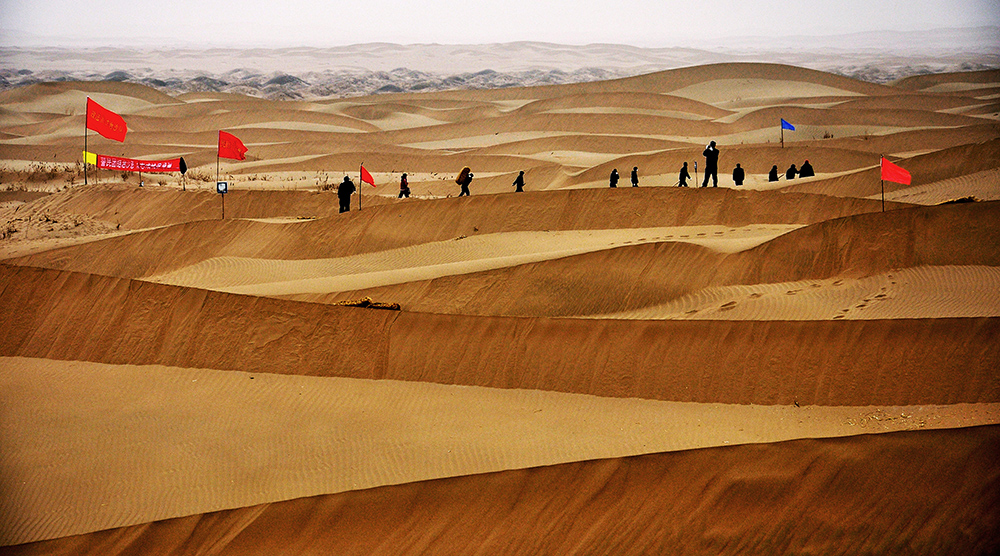 治沙造林保家园 脱贫攻坚奔小康(组照12)-李军 摄于甘肃省武威市民勤