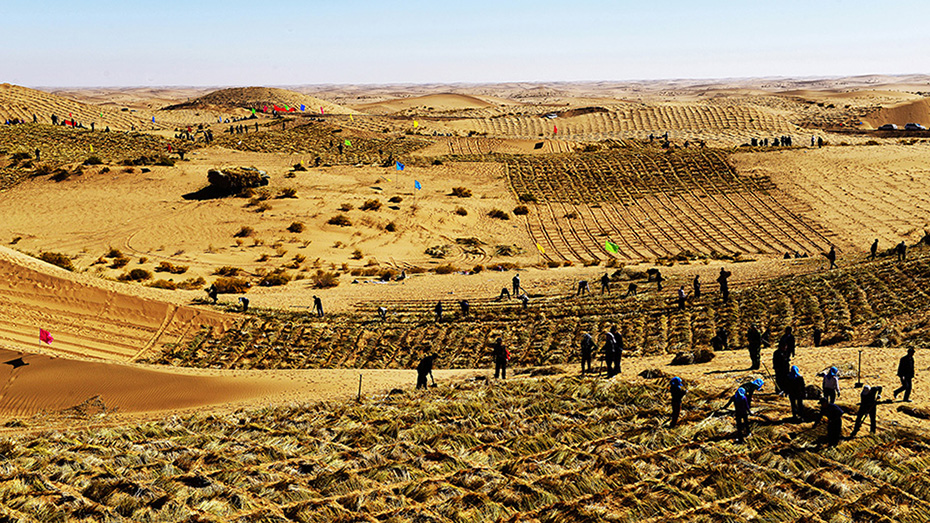 治沙造林保家园 脱贫攻坚奔小康(组照12张)