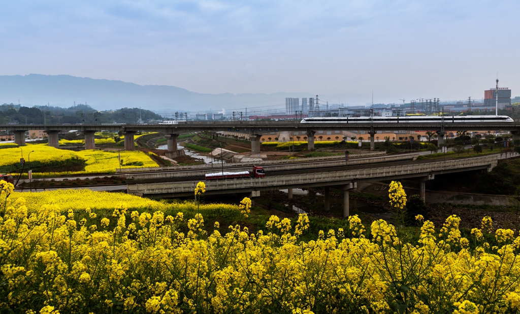 高铁开到我家乡 2020年3月13日 摄于四川雅安名山区.jpg