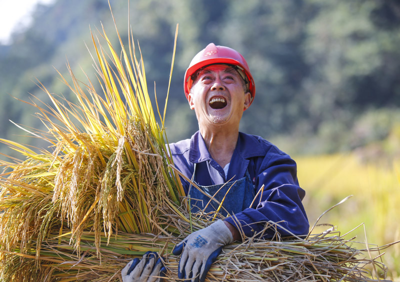 《农民致富笑脸》组图