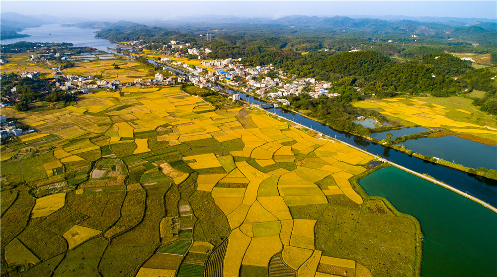 摄于广西合浦县曲樟乡