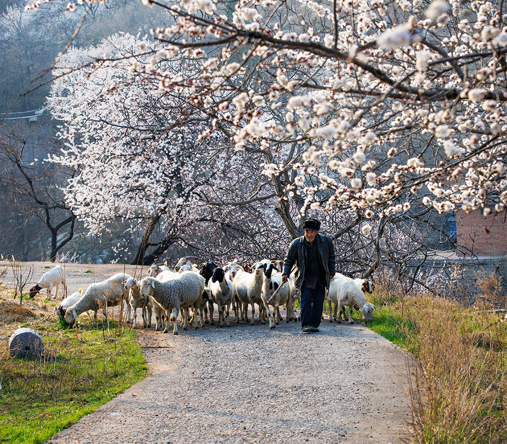 中国第三届扶贫公益摄影大展--脱贫带头老人