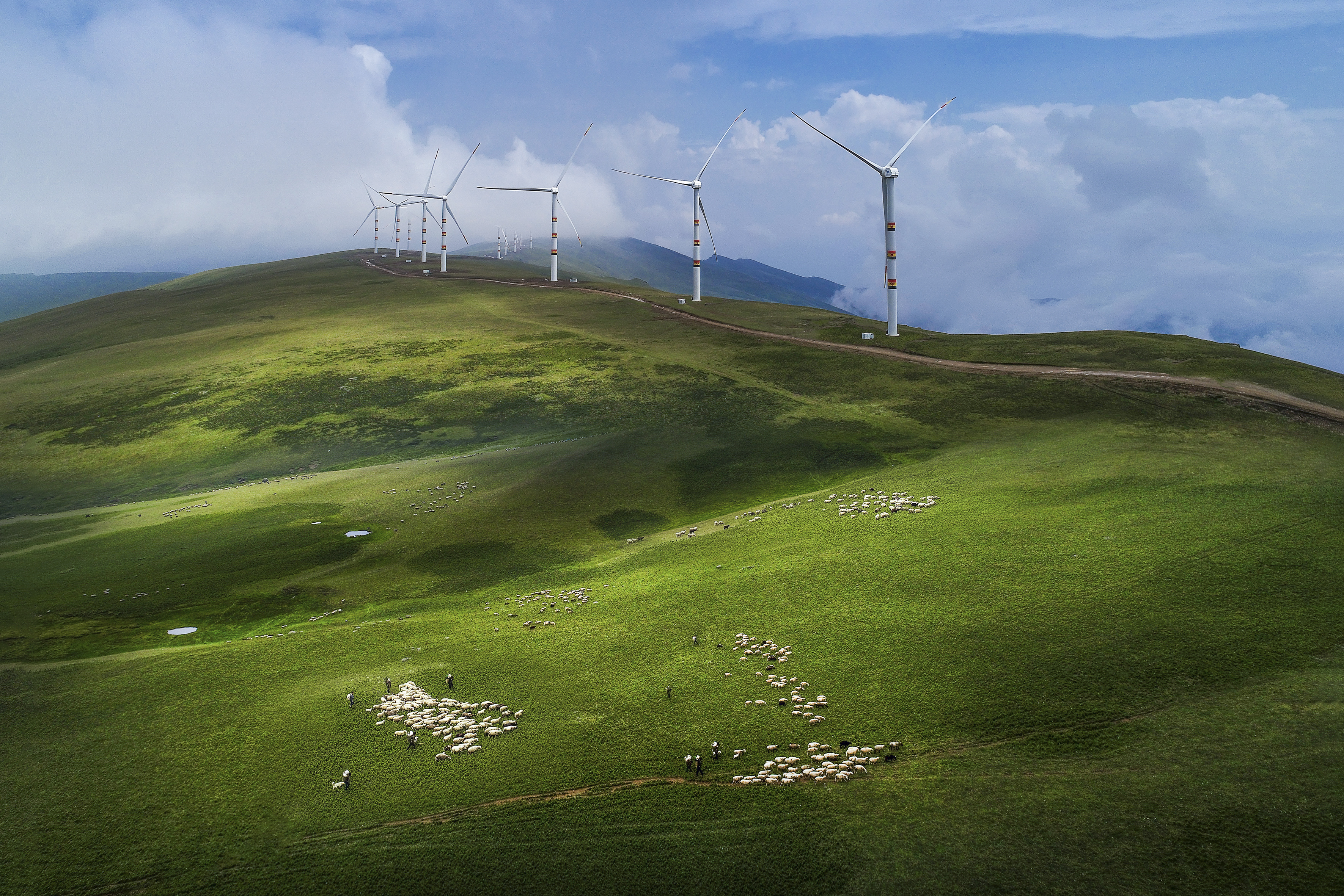 拍摄于美姑县大风顶 .