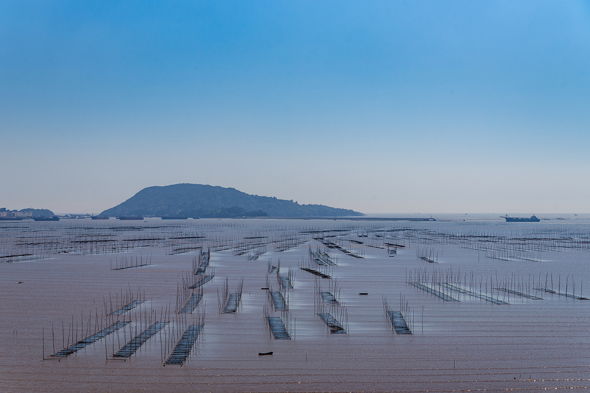 走进紫菜之乡——温州苍南县沿浦镇