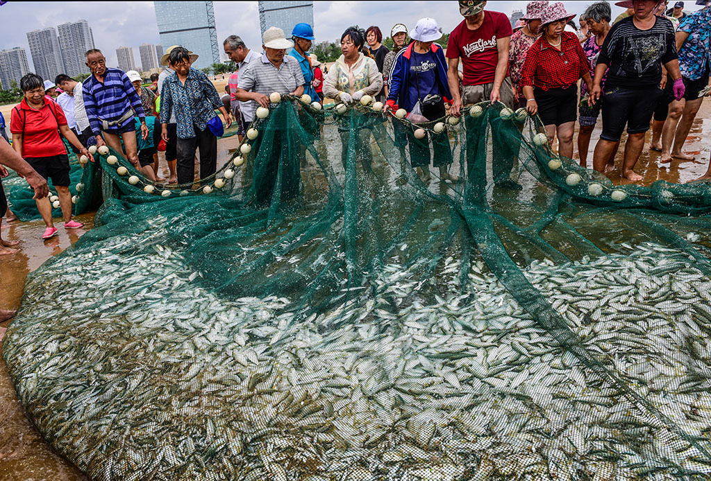 《开海撒网捕鱼忙》13喜获丰收.jpg