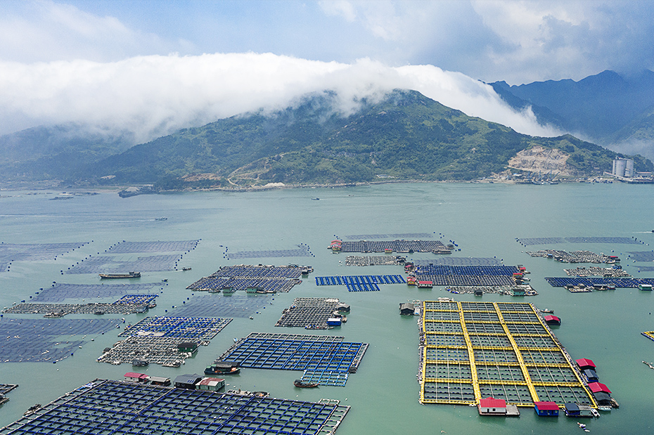 《海上牧场》 2020年5月31日拍摄于福建宁德三都澳.