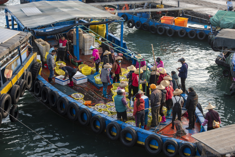 《喧闹的白马井渔港》组照