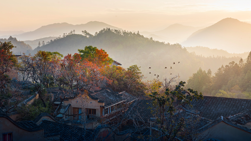 四坪晨曦 2020年11月摄于宁德屏南县四坪村