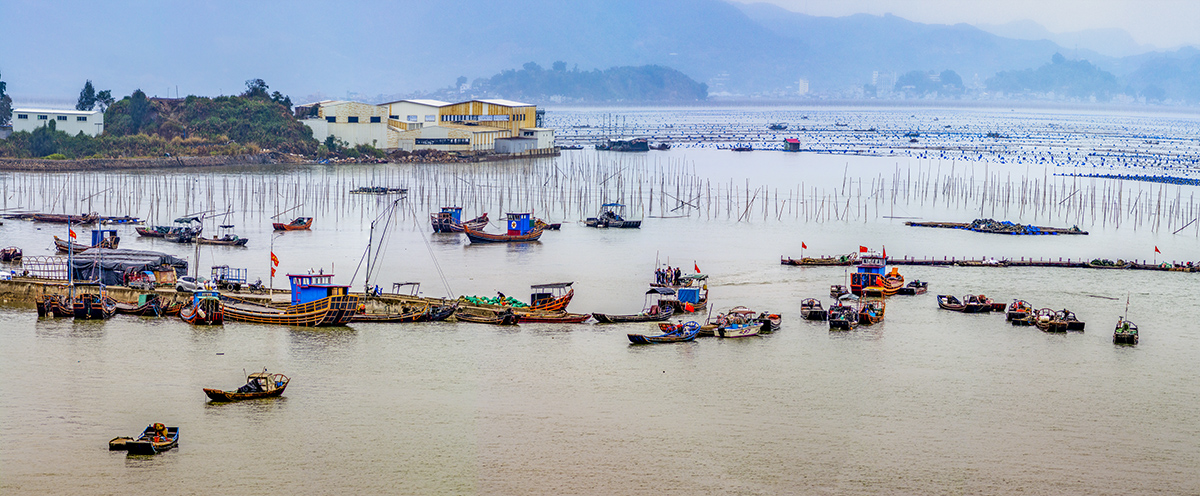 《海上渔家船儿忙》