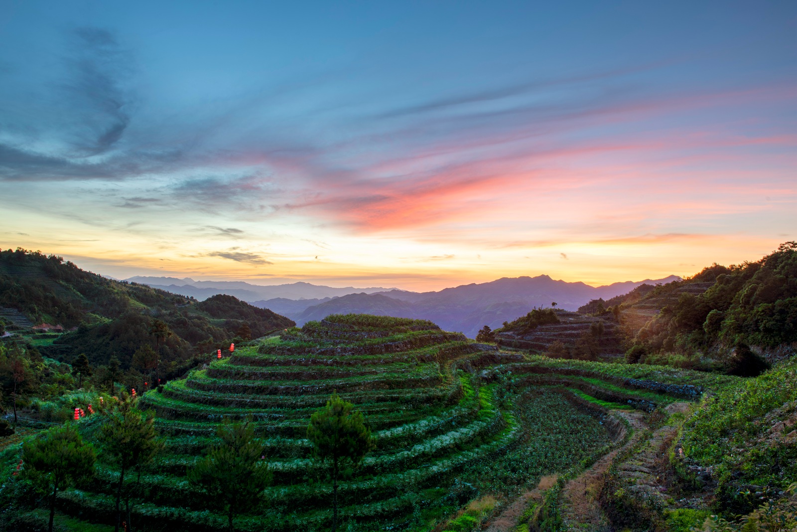 《茶山晨曦》——陶小化 摄 2020年6月摄于福建宁德柘荣.jpg