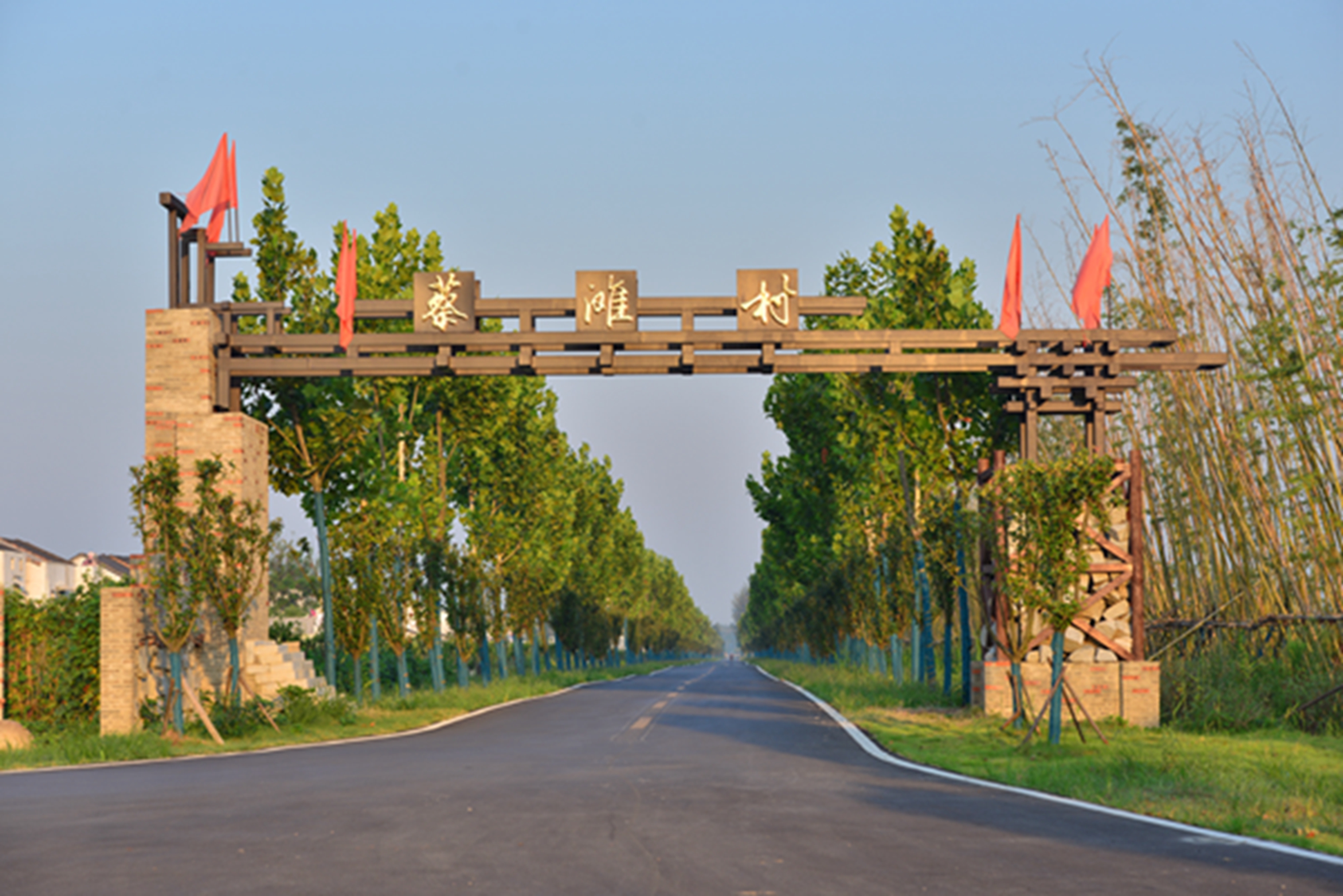 湖北仙桃胡场镇蔡滩村新农村面貌