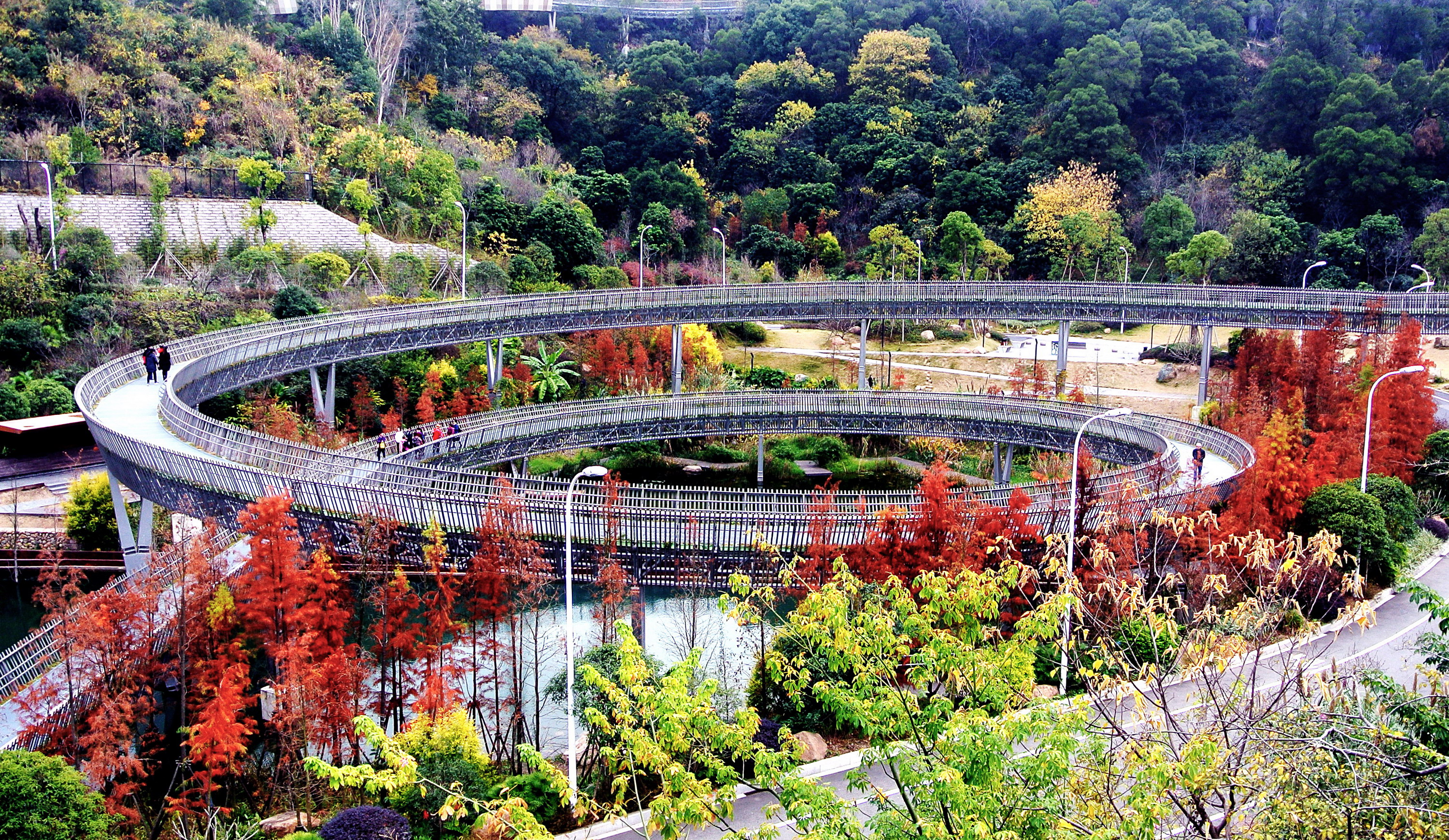 《福道秋色》-福建省国资系统庆祝建党100周年摄影大展暨 第五届"福能