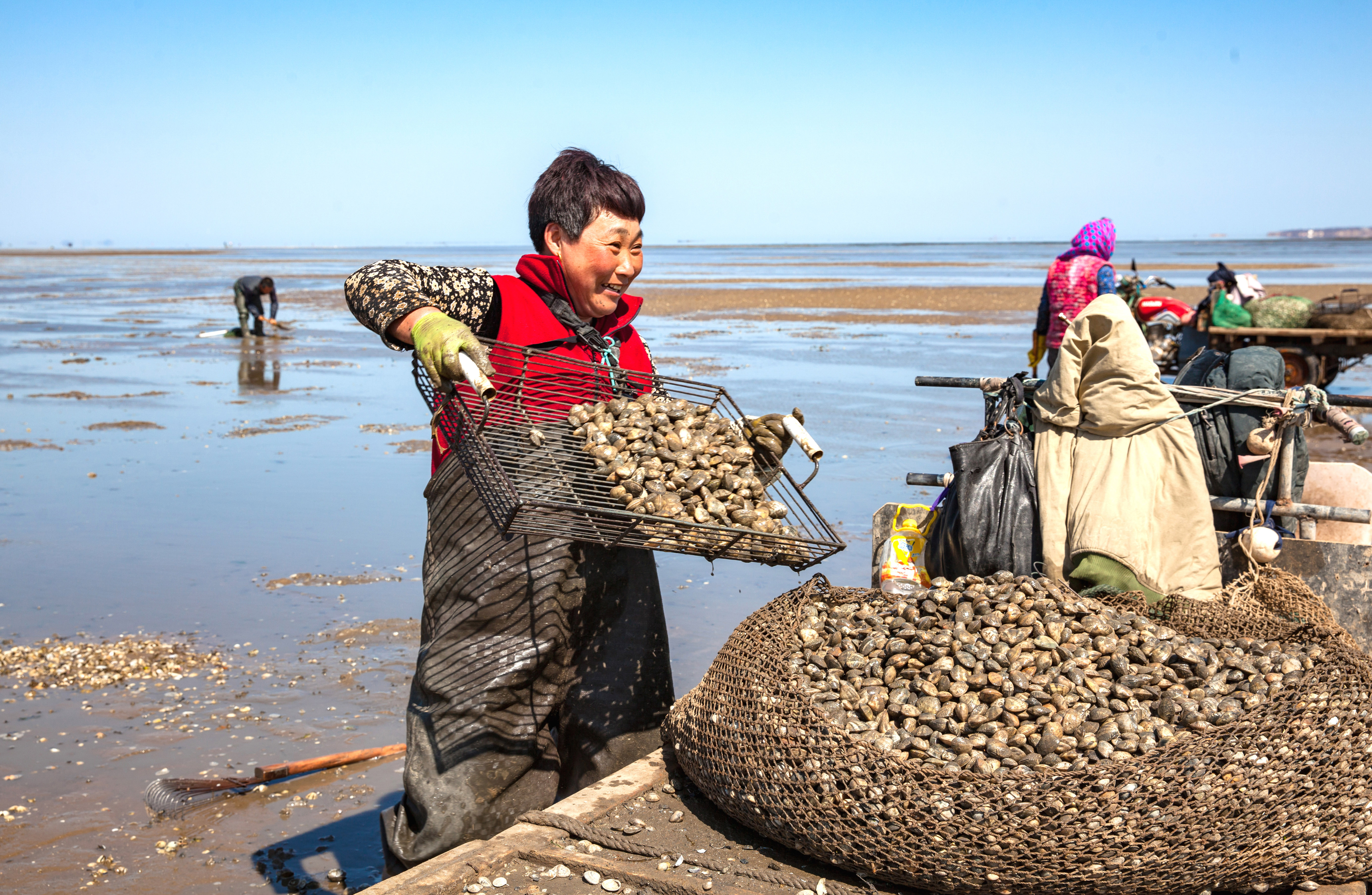 《赶海人的苦与乐》(组照)之三 辽宁  兴城  张玉良摄  手机