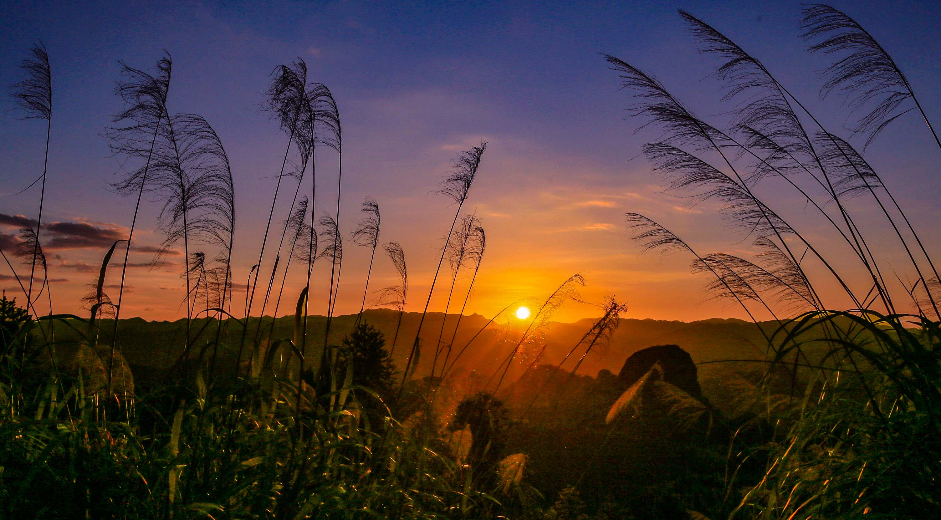 落日余晖   王春峰 (17)jml.jpg